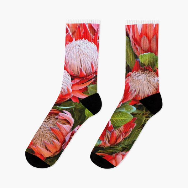 Aperçu de l'œuvre Panier de proteas sud-africains créée et vendue par FranWest.