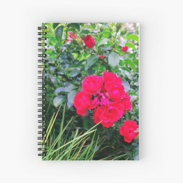 Red Rose Bunch Floral Photo Design Spiral Notebook