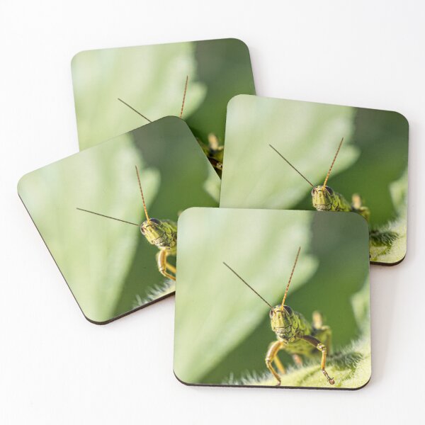 Item preview, Grasshopper designed and sold by Amy Louhela.