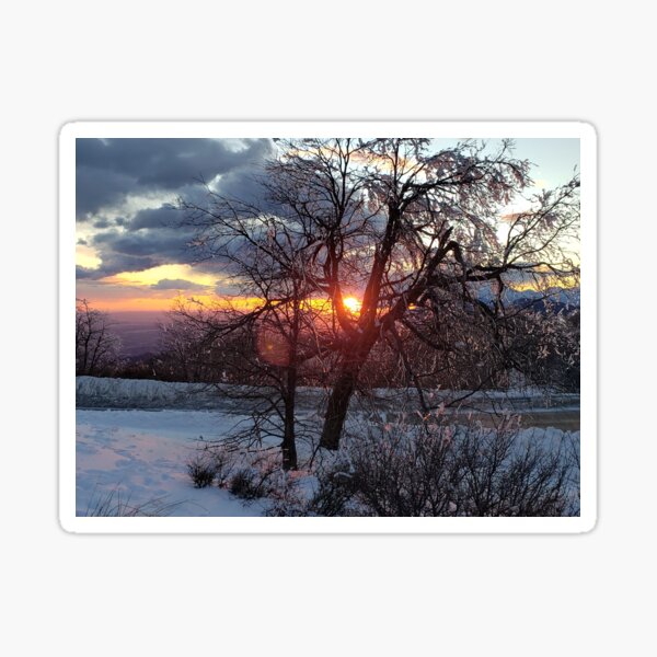 Fire and Ice - Suncicles Sticker