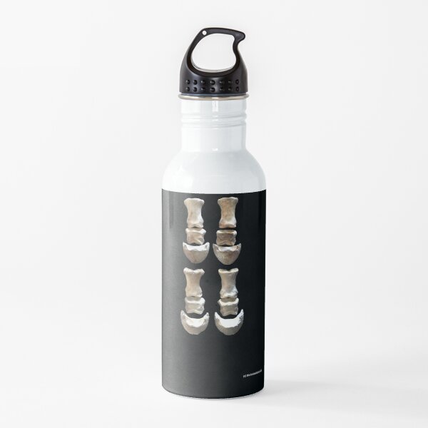 Hoof Matters Water Bottle