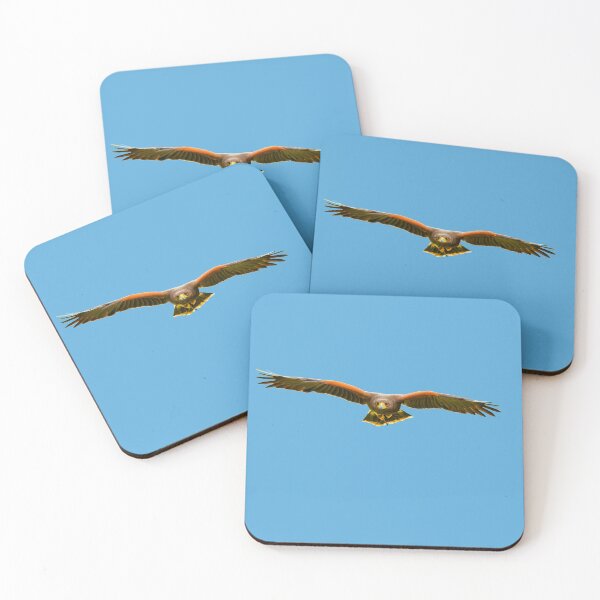 Item preview, Incoming Harris Hawk designed and sold by Dalyndigital Photography.
