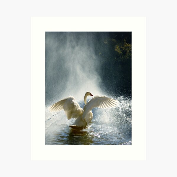 Water Mist Bathing Art Print