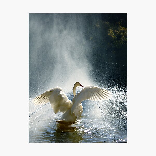 Water Mist Bathing Photographic Print
