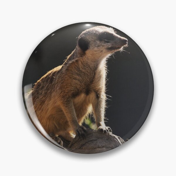 Item preview, Meerkat  on Duty at the Zoo designed and sold by Andyt.