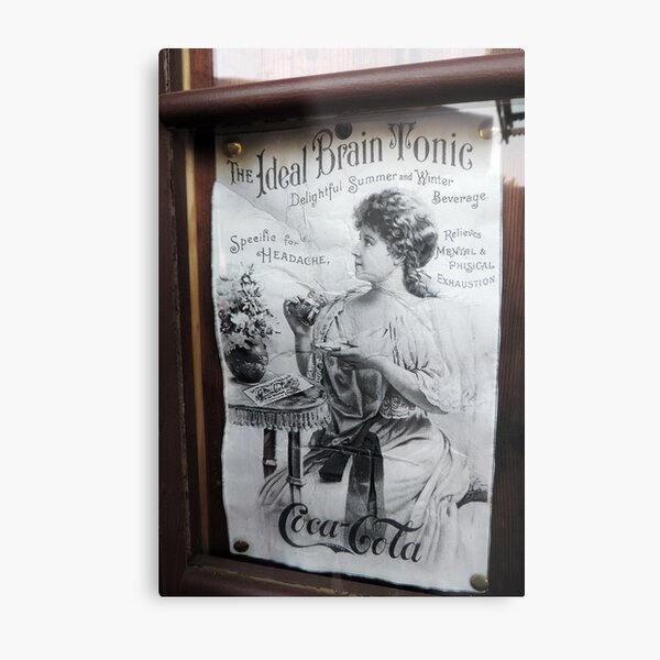 "The Ideal Brain Tonic" Metal Print