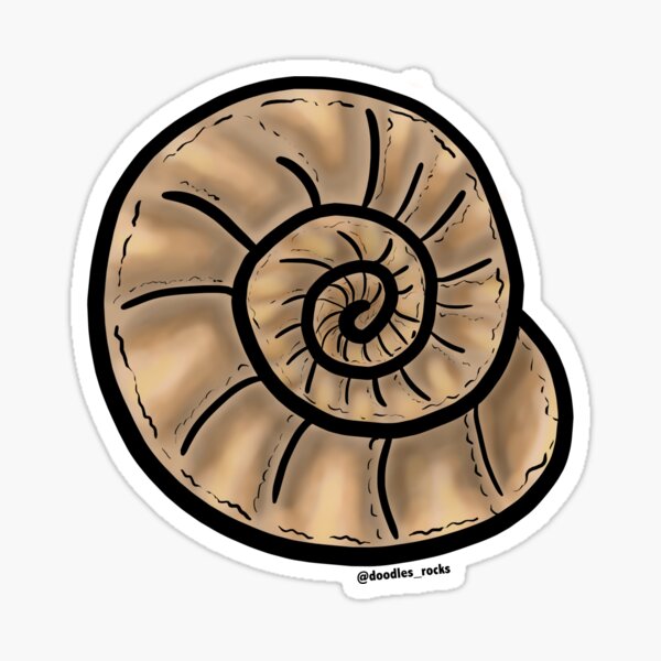 Vista previa del artículo con la obra «Pin de amonita», diseñado y vendido por RockADoodles.