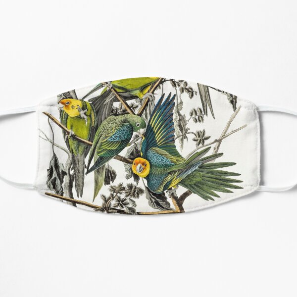 John James Audubon - Carolina Parrot (Male, Female & Young) Mask
