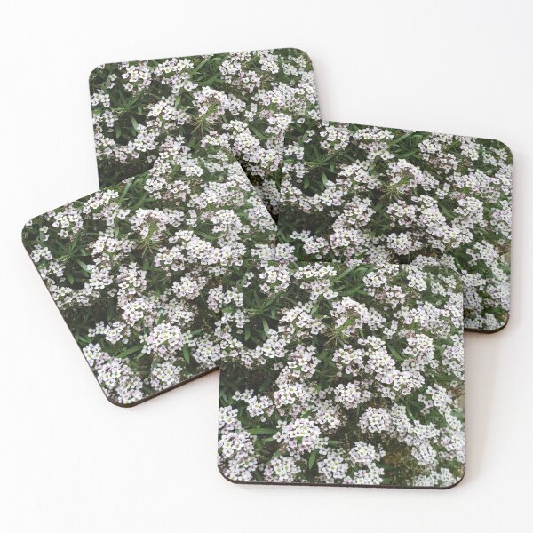 Item preview, White Alyssum designed and sold by Qur0w.