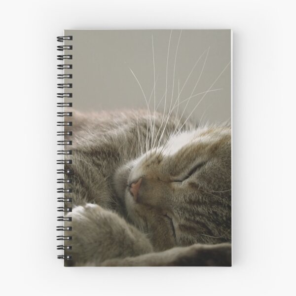 Item preview, sleeping cat  designed and sold by ahmadshalqeh.