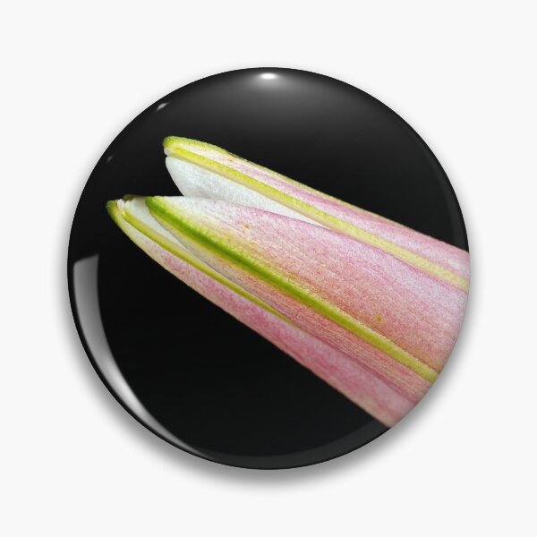 Item preview, Lily Bud Soft Tones designed and sold by Joy Watson - Natural Light Photography .