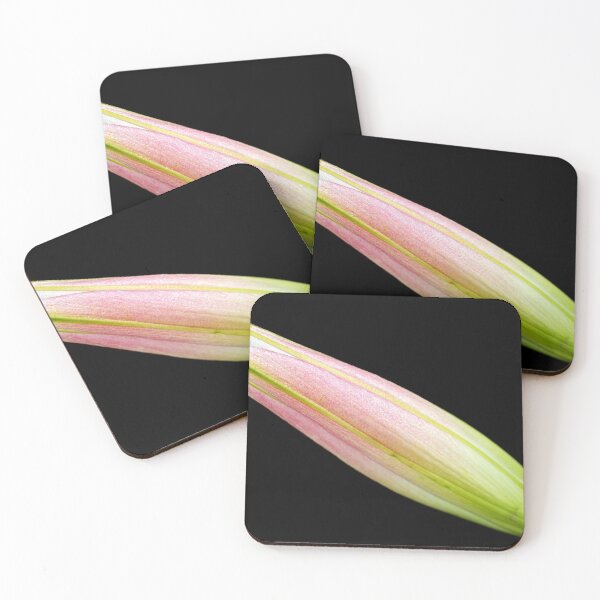 Item preview, Lily Bud Soft Tones designed and sold by Joy Watson - Natural Light Photography .