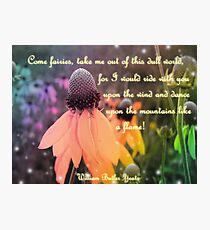 Come fairies... Fotodruck