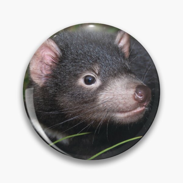 Item preview, Cute young Tassie devil designed and sold by Georgina Andersen.