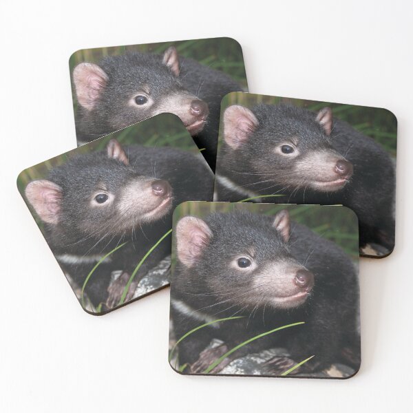 Item preview, Cute young Tassie devil designed and sold by Georgina Andersen.