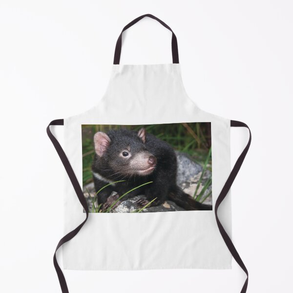 Item preview, Cute young Tassie devil designed and sold by Georgina Andersen.