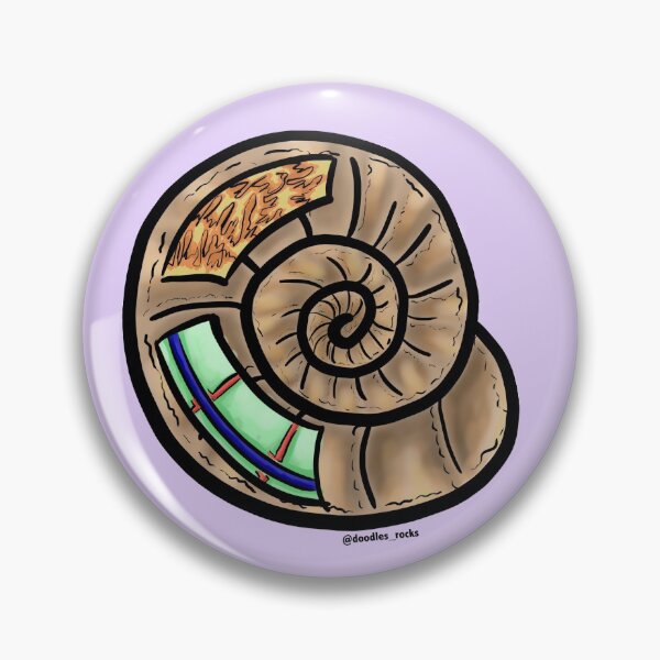Item preview, Ammonite X-Ray designed and sold by RockADoodles.