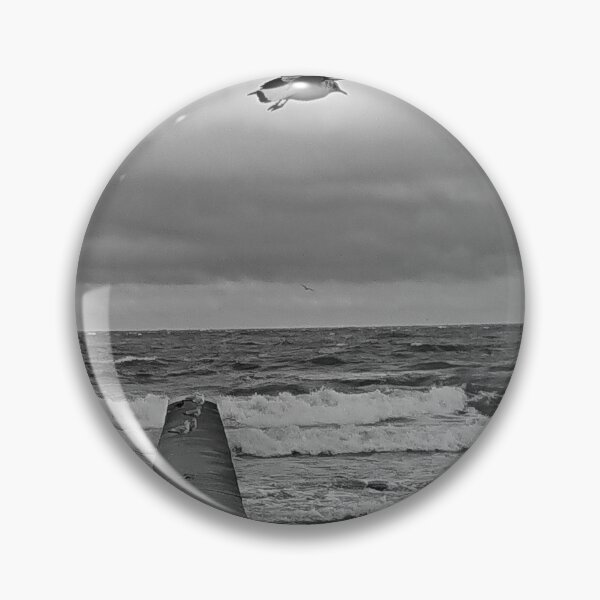 Item preview, Bird at a pier in Visby, Sweden designed and sold by johanberg.
