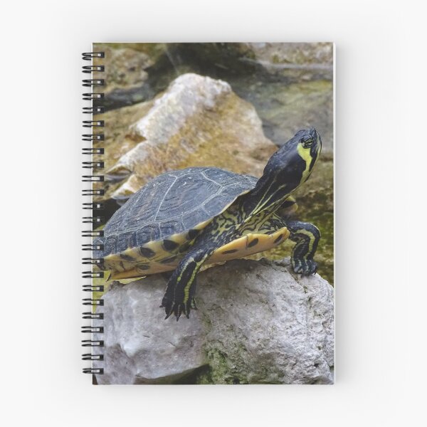 Item preview, Lonely Little Turtle designed and sold by Catavan.
