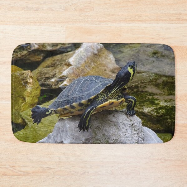 Item preview, Lonely Little Turtle designed and sold by Catavan.