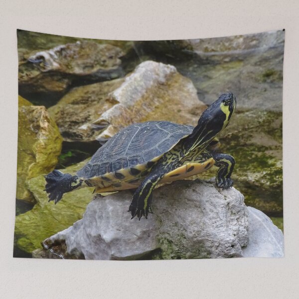 Item preview, Lonely Little Turtle designed and sold by Catavan.