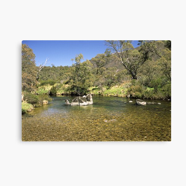 Thredbo River, Snowy Mountains, Australia Canvas Print