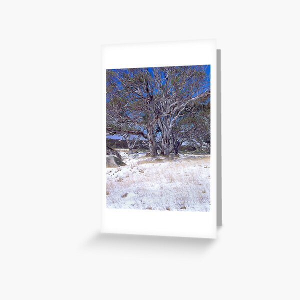 Item preview, Early season snow, Snowy Mountains, Australia designed and sold by DBigwood.