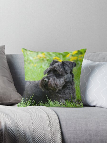 Item preview, Black Miniature Schnauzer Dog designed and sold by Inimma.