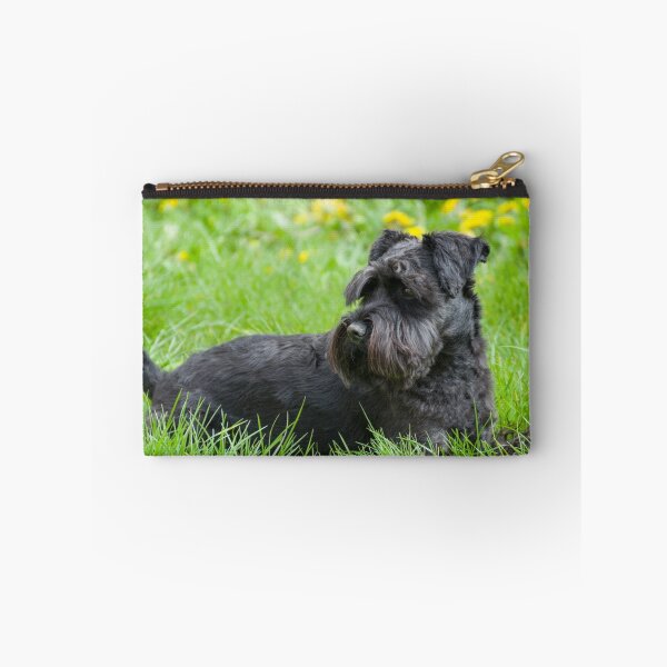 Artikelvorschau, Schwarzer Zwergschnauzer-Hund entworfen und verkauft von Inimma.