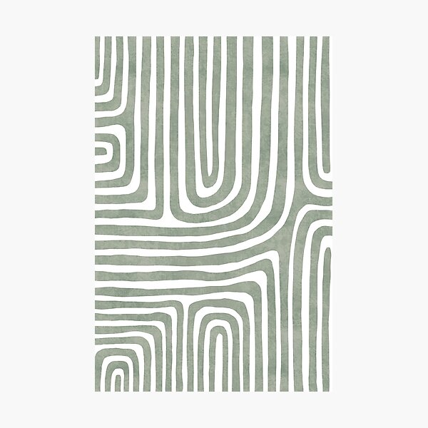 Sage green line art Photographic Print