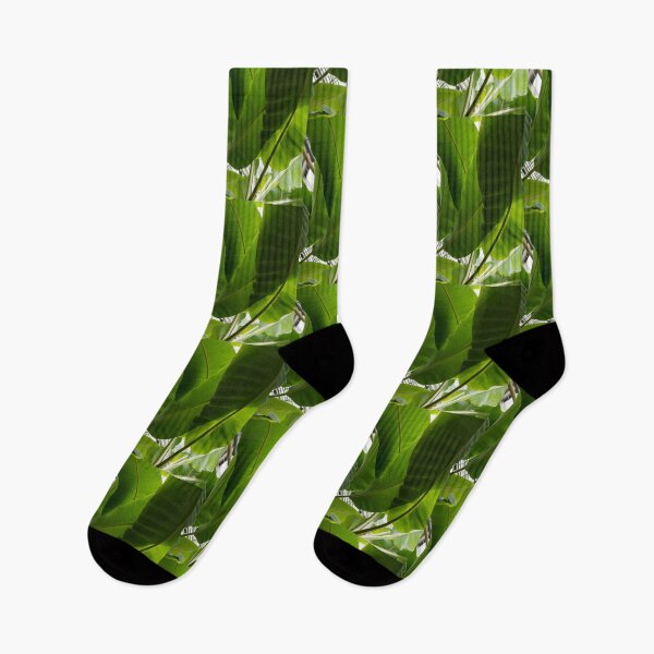 Item preview, Verdes tropicales deliciosos - Patrones enormes de hojas de plátano - Vista vertical hacia arriba a la derecha designed and sold by Georgia Mizuleva.