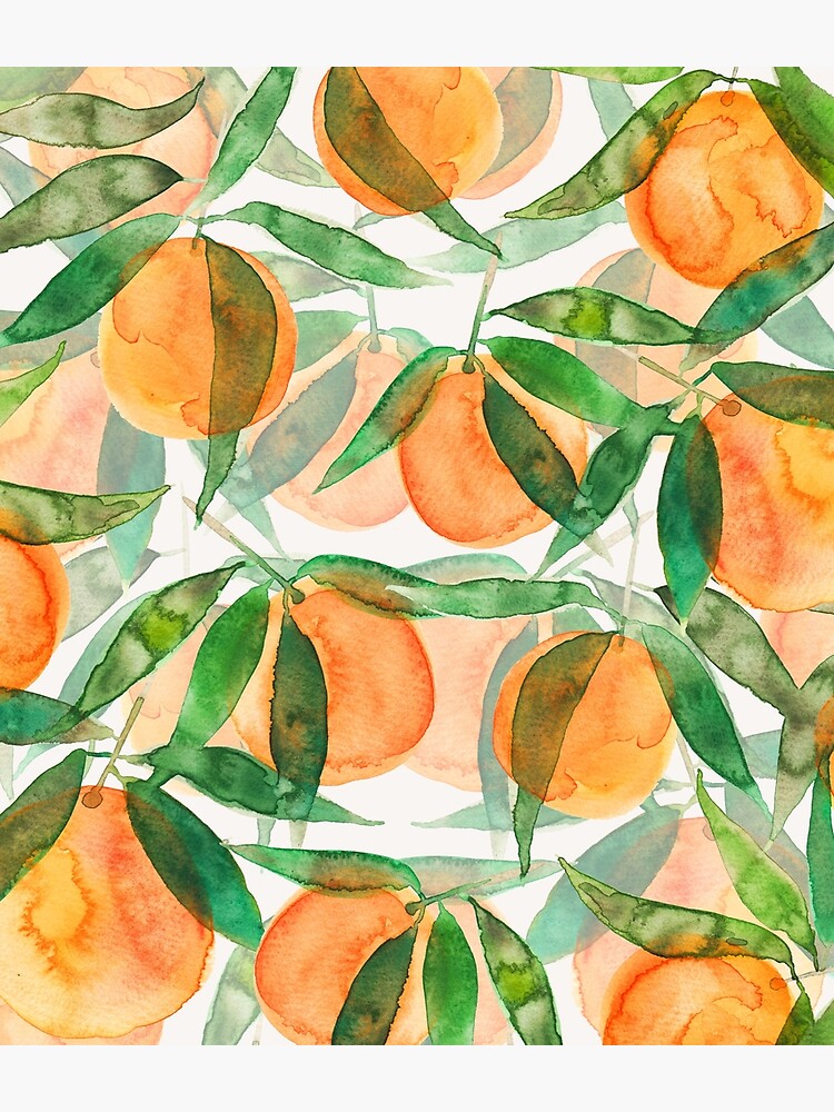 Orangen von RanitasArt