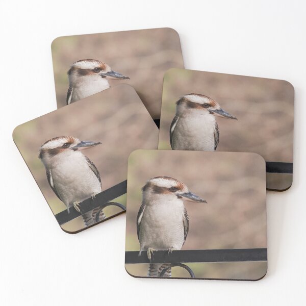 Item preview, Kookaburra sitting on a fence photo in the late evening.  designed and sold by hendrikspix.
