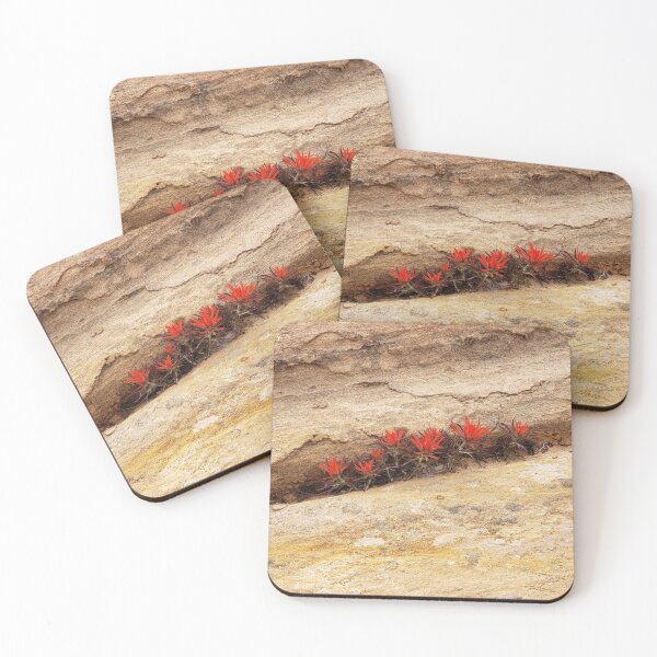 Item preview, Rough Indian Paintbrush Wildflowers designed and sold by imaginachine.