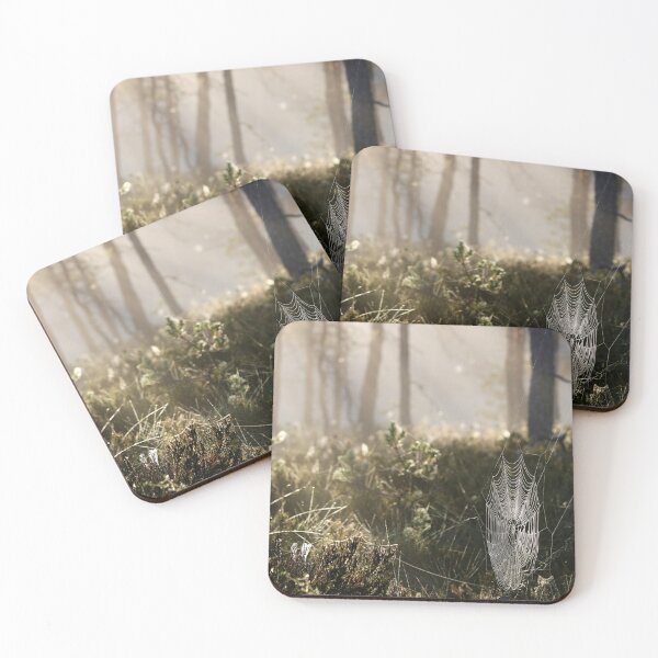 Item preview, 1.8.2020: Cobweb at Marsh designed and sold by Petri Volanen.