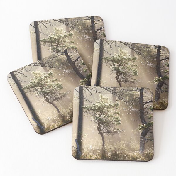 Item preview, 1.8.2020: Pine Tree at Marsh designed and sold by Petri Volanen.