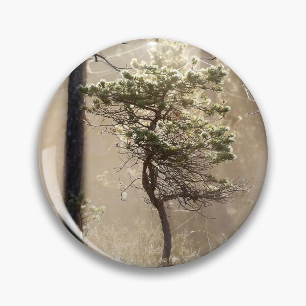 Item preview, 1.8.2020: Pine Tree at Marsh designed and sold by Petri Volanen.