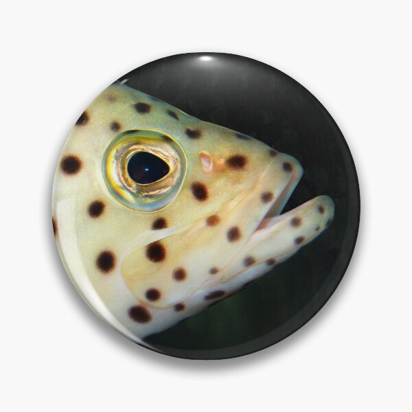 Item preview, Fish Portrait - Wilf designed and sold by WaterGardens.
