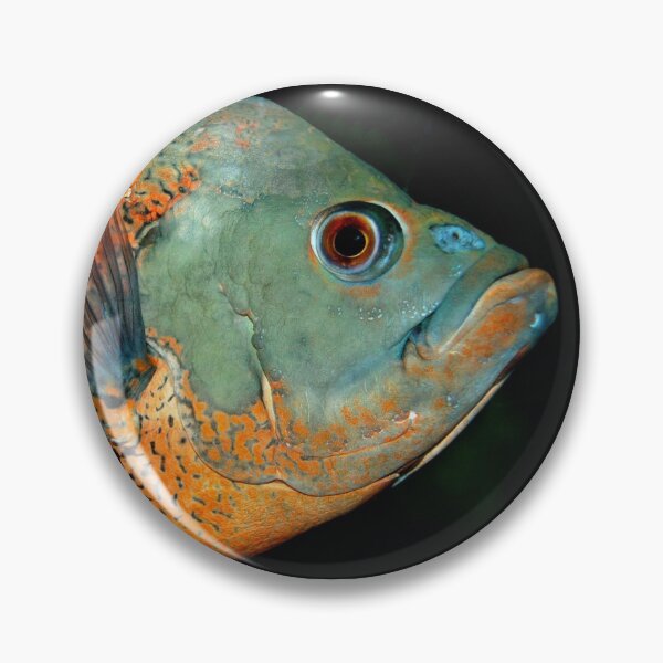 Item preview, Fish Portrait - Edna designed and sold by WaterGardens.