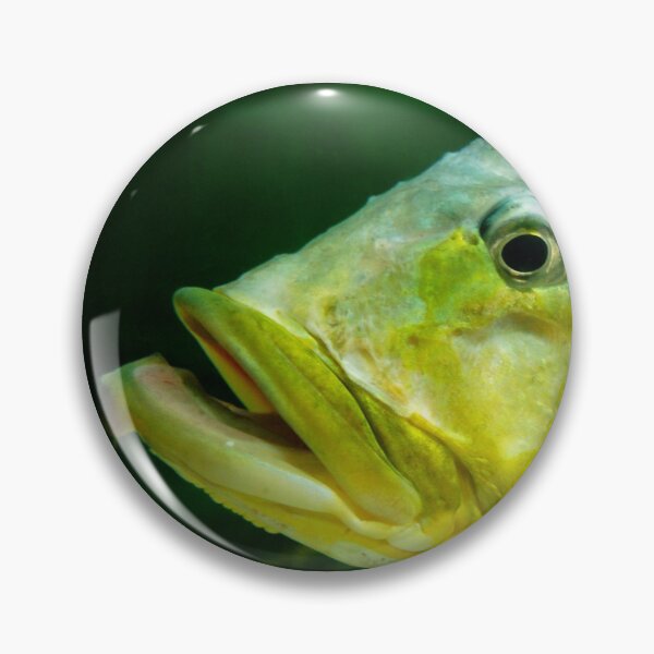 Item preview, Fish Portrait - Mavis designed and sold by WaterGardens.