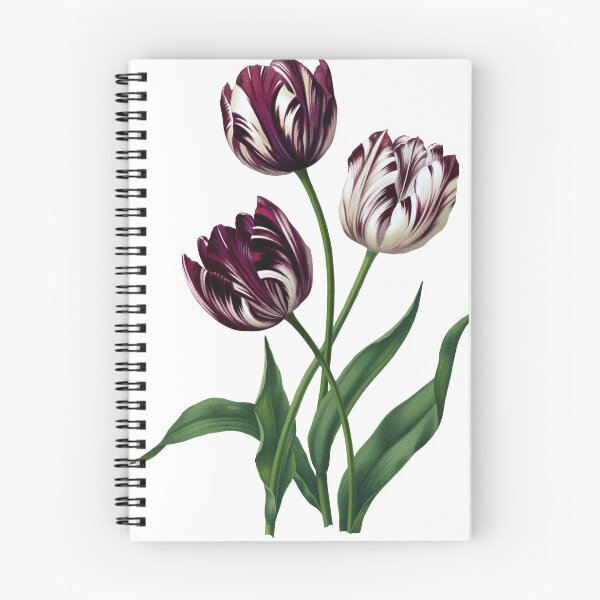 Item preview, 3 Beautiful Tulip Flowers designed and sold by MPowerTeez.