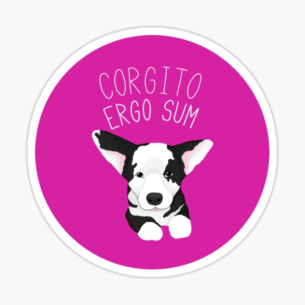Corgito Ergo Sum Sticker