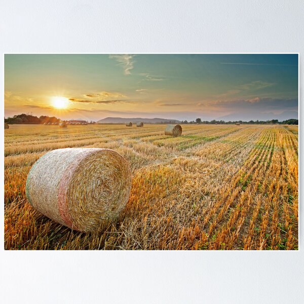 Item preview, Hay bales at Sunset designed and sold by LexiTheMonster.