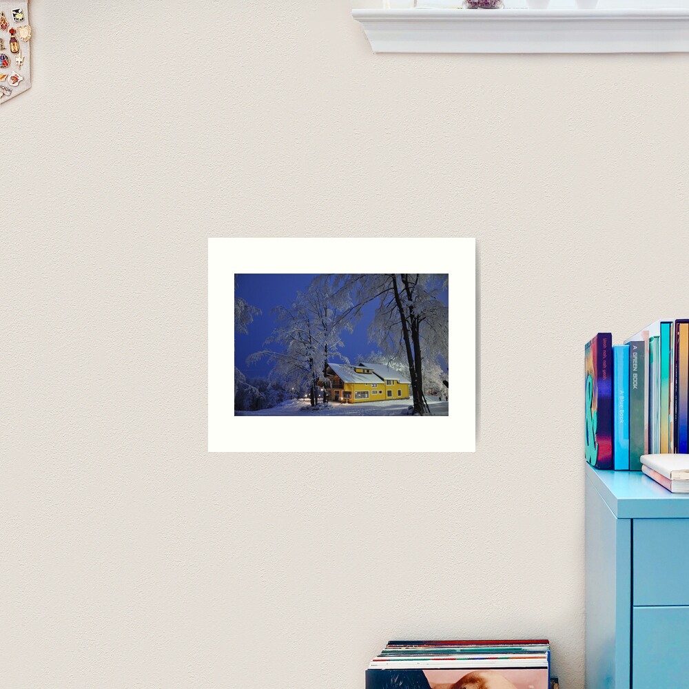 Winter wonderland Art Print