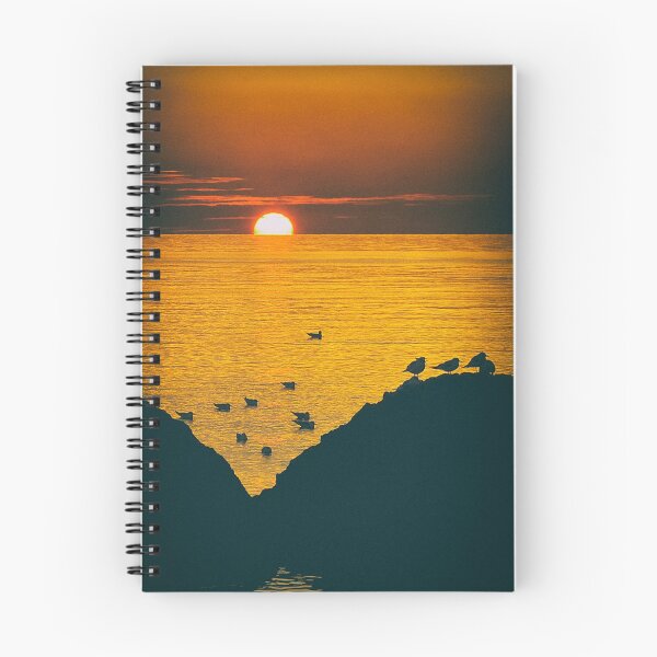 Item preview, Seagulls in the sunset light designed and sold by Pino 'Delfino' Esposito.