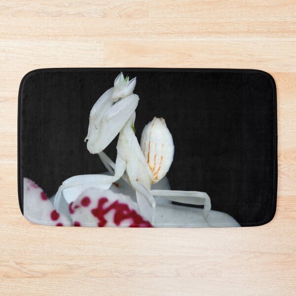 Item preview, white praying mantis designed and sold by BellsPainting.