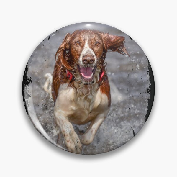 Item preview, Welsh Springer Spaniel - slightly distressed vintage look designed and sold by bdws.