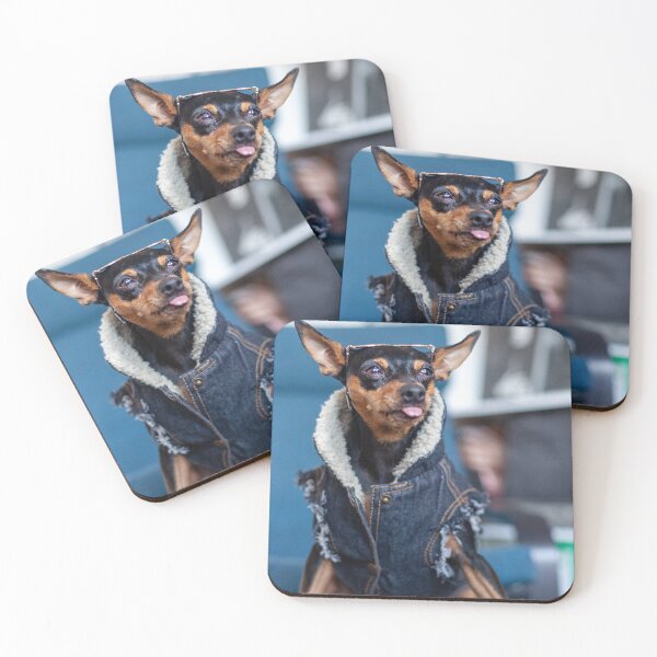 Item preview, litogodfather miniature pinscher denim jacket sticking out tongue designed and sold by marshmallowhobo.