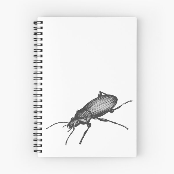 Item preview, Beetle designed and sold by Djoui.