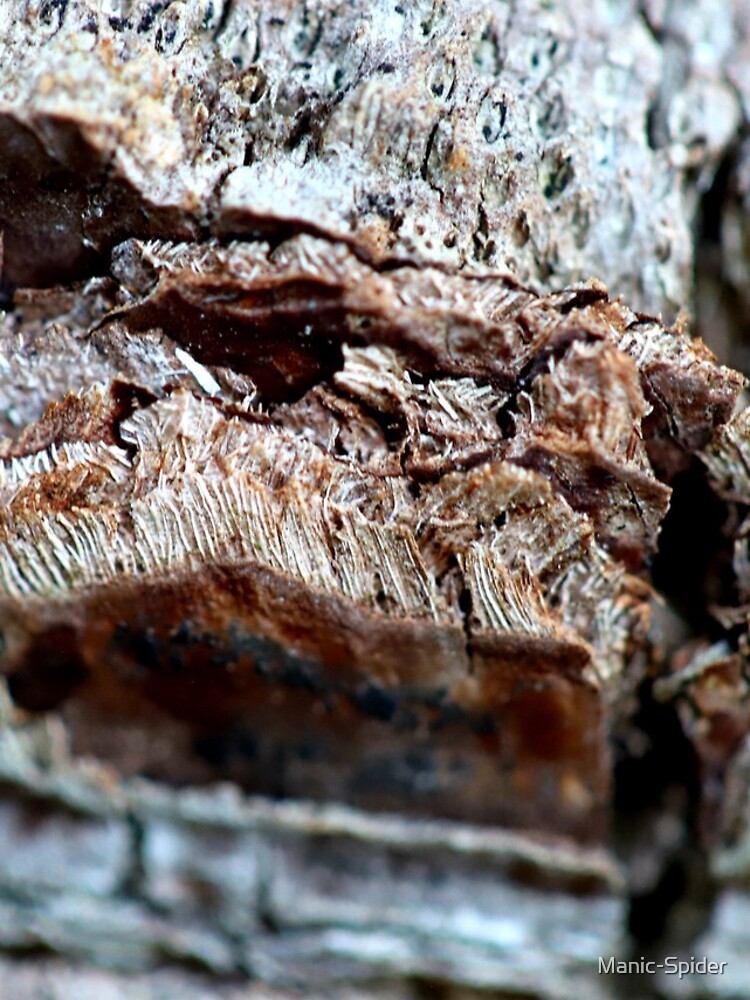 Thumbnail 4 of 4, iPhone Case, Tree Bark Pattern II designed and sold by Manic-Spider.